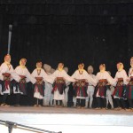Humanitarni koncert ANIP "Vlastimir Pavlovic - Carevac"